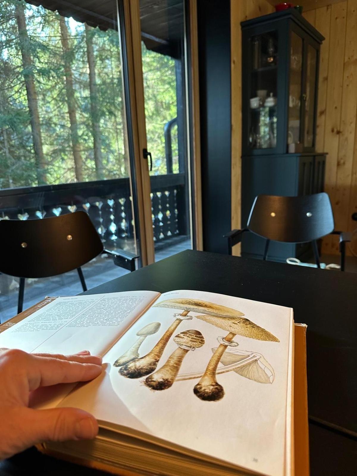 Cosy Lodge Pokljuka Goreljek Exterior photo
